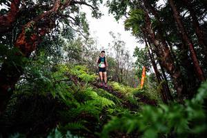 BIB: 
                            <button type="button" onclick="openModal(26204597)" class="btn btn-primary btn-sm float-right btn-popup" data-toggle="modal" data-target=".modal-high-quality">
                        <i class="fas fa-shopping-cart"></i> Add to Cart
                    </button>
                                            <button type="button" onclick="isThisMe(26204597, true)" class="btn btn-success btn-sm float-right btn-popup btn-isme hidden" data-toggle="tooltip" data-placement="bottom" title="นี่คือรูปของคุณใช่ไหม คลิกที่นี่เพื่อเอาเข้าอัลบั้ม">
                        <i class="fas fa-plus"></i> Add to album
                    </button>
                    <button type="button" onclick="isThisMe(26204597, false)" class="btn btn-warning btn-sm float-right btn-popup btn-isnotme hidden">
                        <i class="fas fa-ban"></i> Remove from album
                    </button>